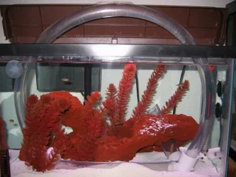 tank_009_crp.webp