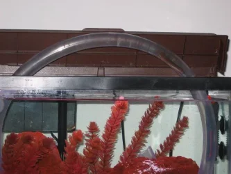 tank_003_crp.webp