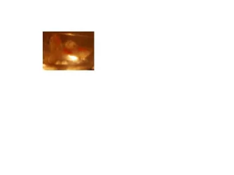 female.webp