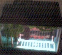 Photo005.jpg