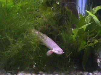 03_09_30_Bicher.webp