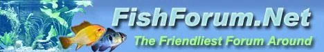 willsbanner..webp