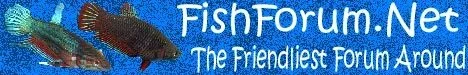 girls_banner.webp