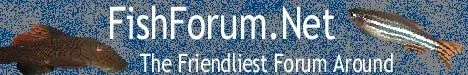danio_banner.webp