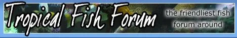 fishforum.webp