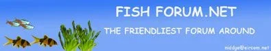 forum_banner_smalljpg.webp