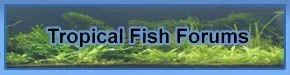 banner2.webp