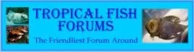 Tff_banner_TWO.webp