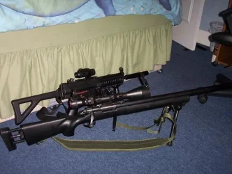 guns.webp