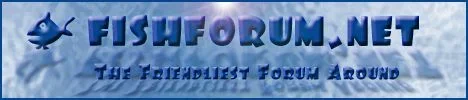 fishforumbanner.webp