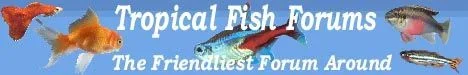 GOOD_BANNER.webp
