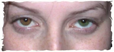 closeup_green_vs_honey.webp