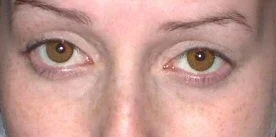 closeup_honey_eyes2.webp