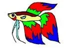 images.webp