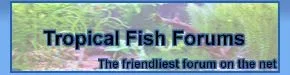 banner5.webp