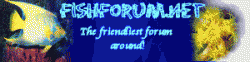 logo1.gif