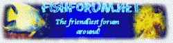 logo3.gif
