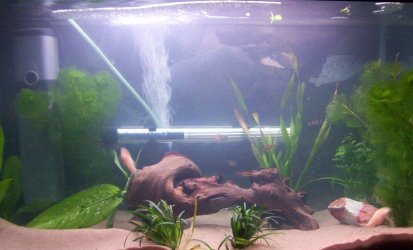 tank3.jpg