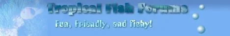 fishforumslogo.webp