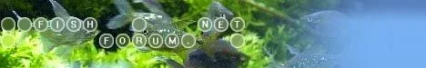fish_forum_serious1.webp