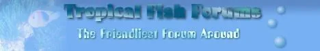 fishforumslogo2.webp