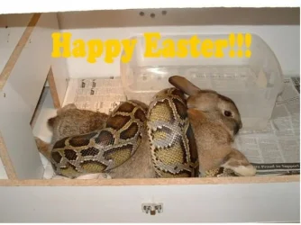 happyeaster.webp