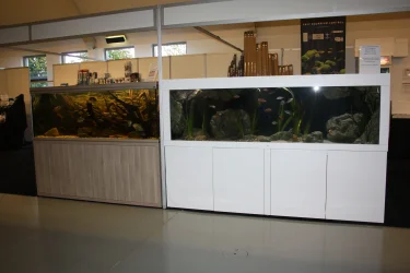 Vivarium 2019  November 3rd 2019 day 2 035.webp