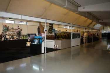 Vivarium 2019 November 3rd 2019 day 2 038.webp Vivarium 2019 November 3rd 2019 day 2 038.webp