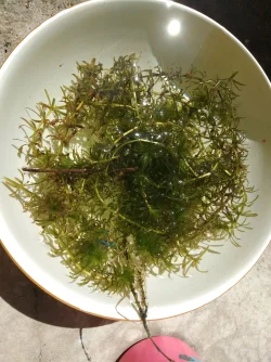 IMG20200419144345.webp