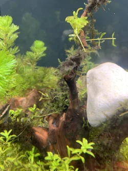 3247E485-030A-4942-86F7-E7C61E2CB6F0.webp
