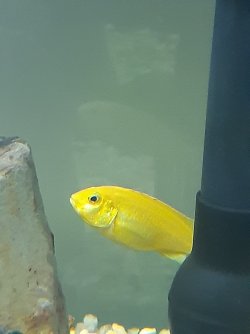 20200421_174717.jpg