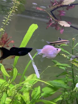 977FC2AB-D6F8-4464-83D7-58382D54D525.webp