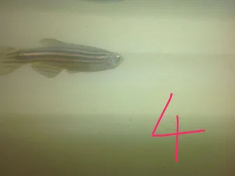 IMG_0021.webp