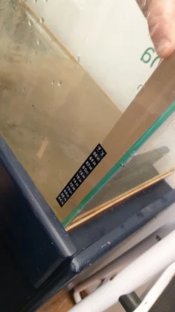 15879278121418295915822245655927.webp