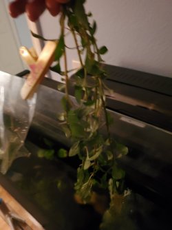 20200506_194937.jpg