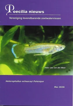 PN cover may 2020.webp