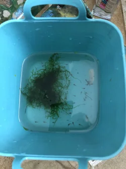 FA27B608-BF54-4FC3-9A25-A426A014BFA6.webp