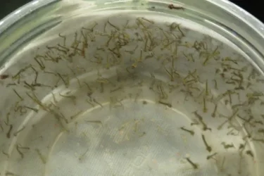 IMG_6885 (640x427).webp