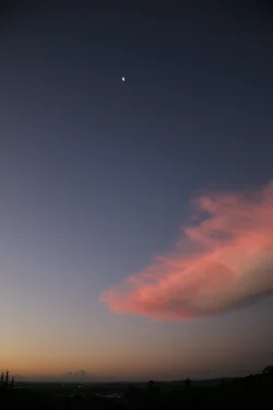 city sunset.webp