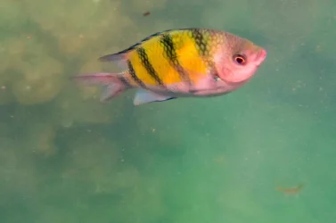 FC08F427-7571-4CC7-AD00-6FB84E8A8422.webp