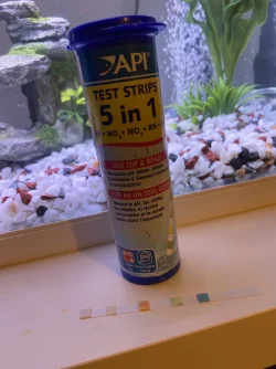 image.webp