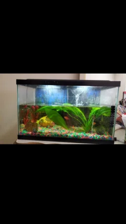 Screenshot_20200523-193408.webp