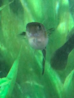 IMG_1118.jpeg
