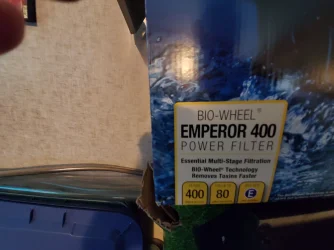 filter 2.webp