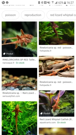 Screenshot_20200609-162701.webp