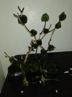20200608_154146.webp