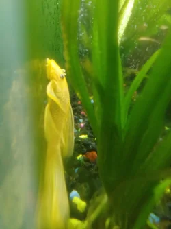 20200609_205040.webp