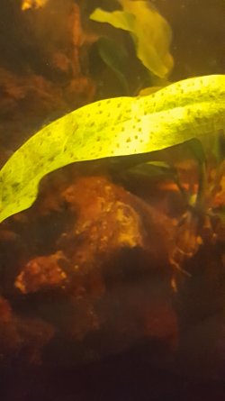 20200613_123616.jpg