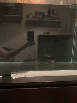 F66976CB-C99E-47F9-BE81-3E82952E9872.jpeg