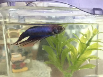 IMG_2446.webp